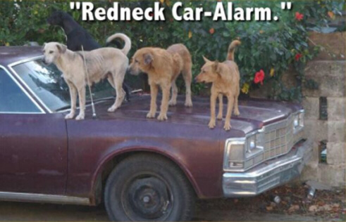Redneck_CarAlarm.jpg
